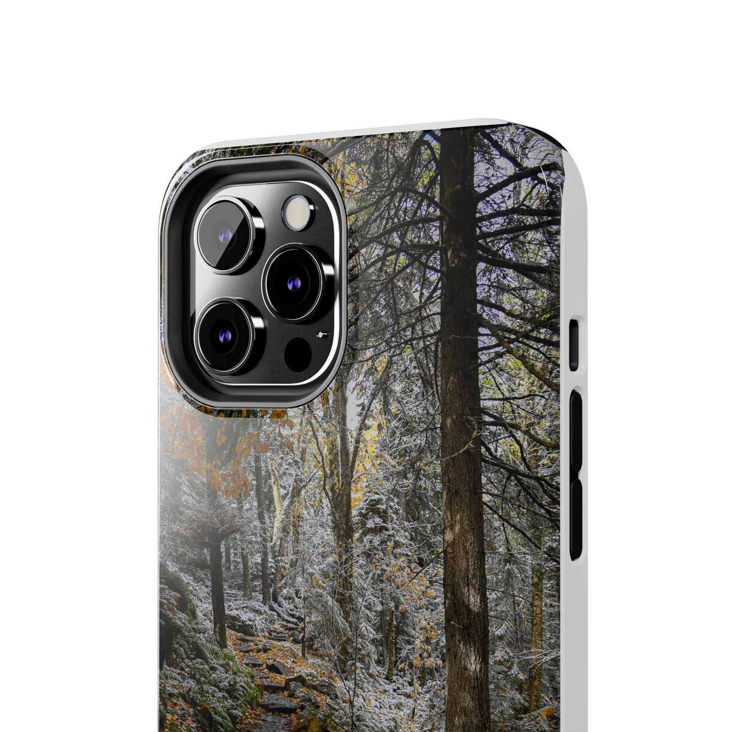 Impact Resistant Phone Case - Seasons Changing