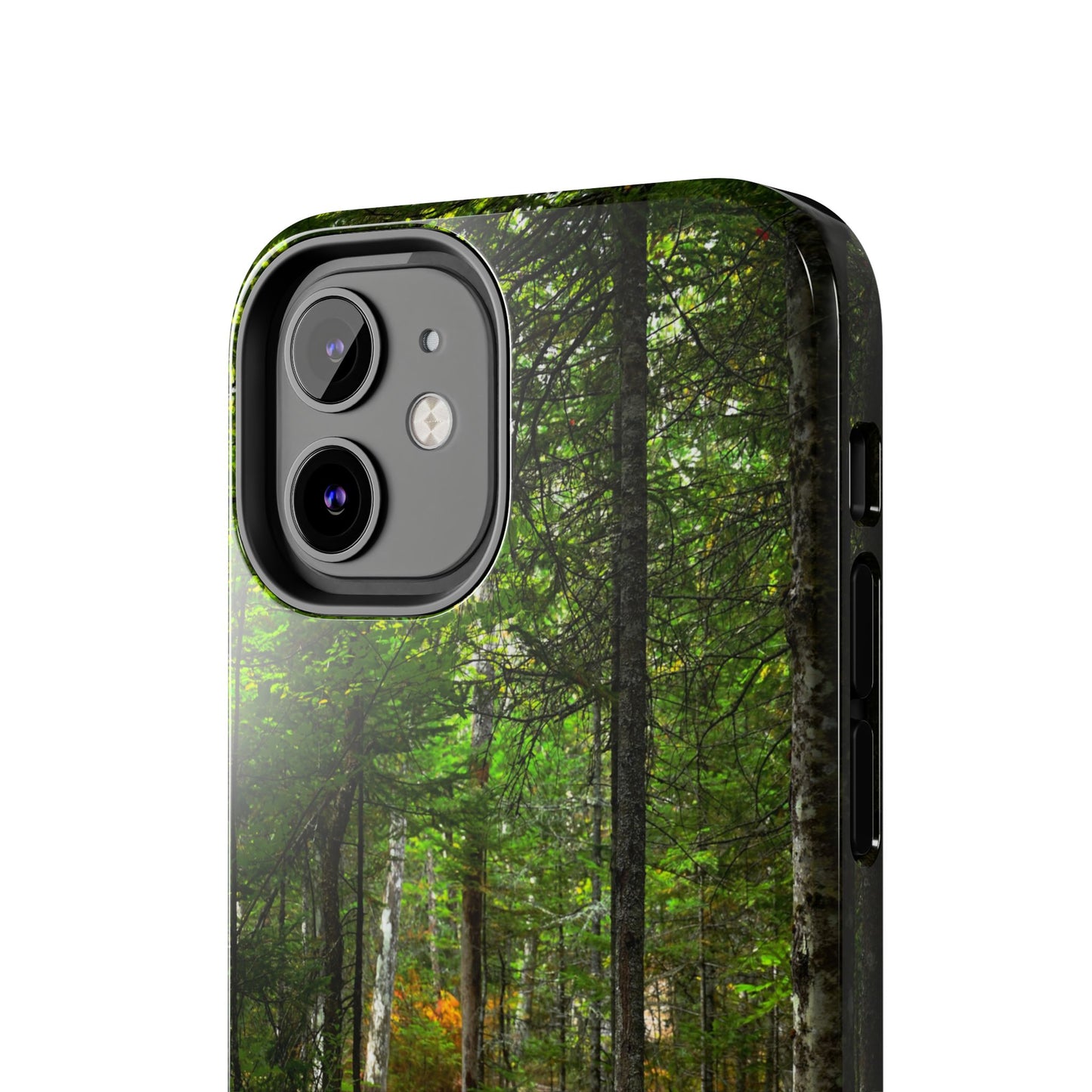 Impact Resistant Phone Case - Woodland Boardwalk