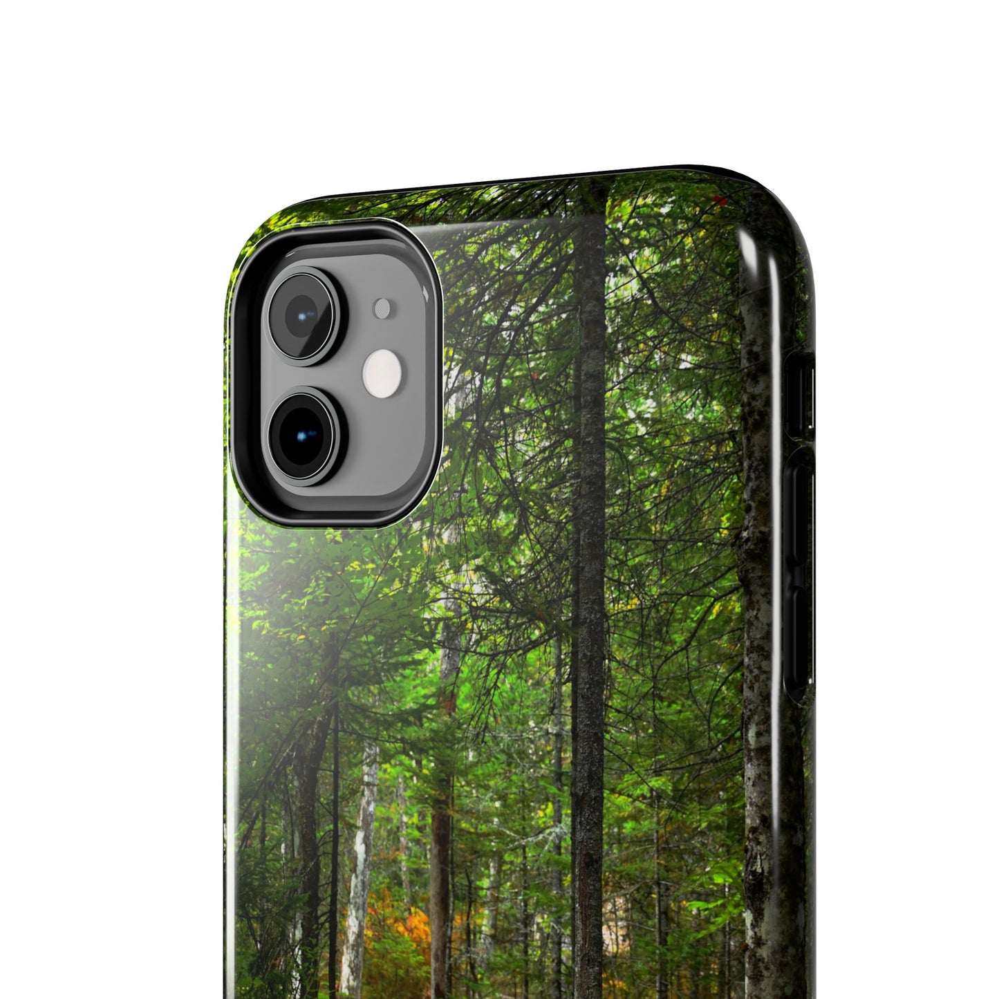 Impact Resistant Phone Case - Woodland Boardwalk