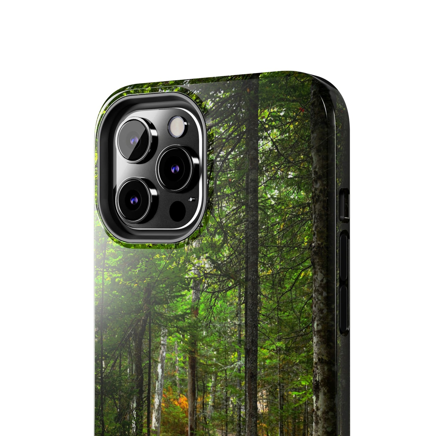 Impact Resistant Phone Case - Woodland Boardwalk