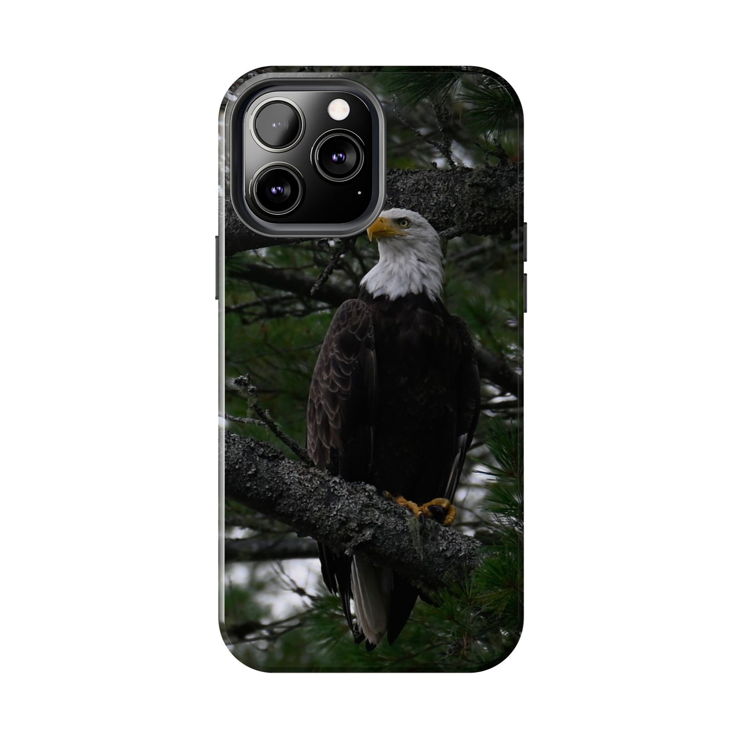 Impact Resistant Phone Case - American Eagle
