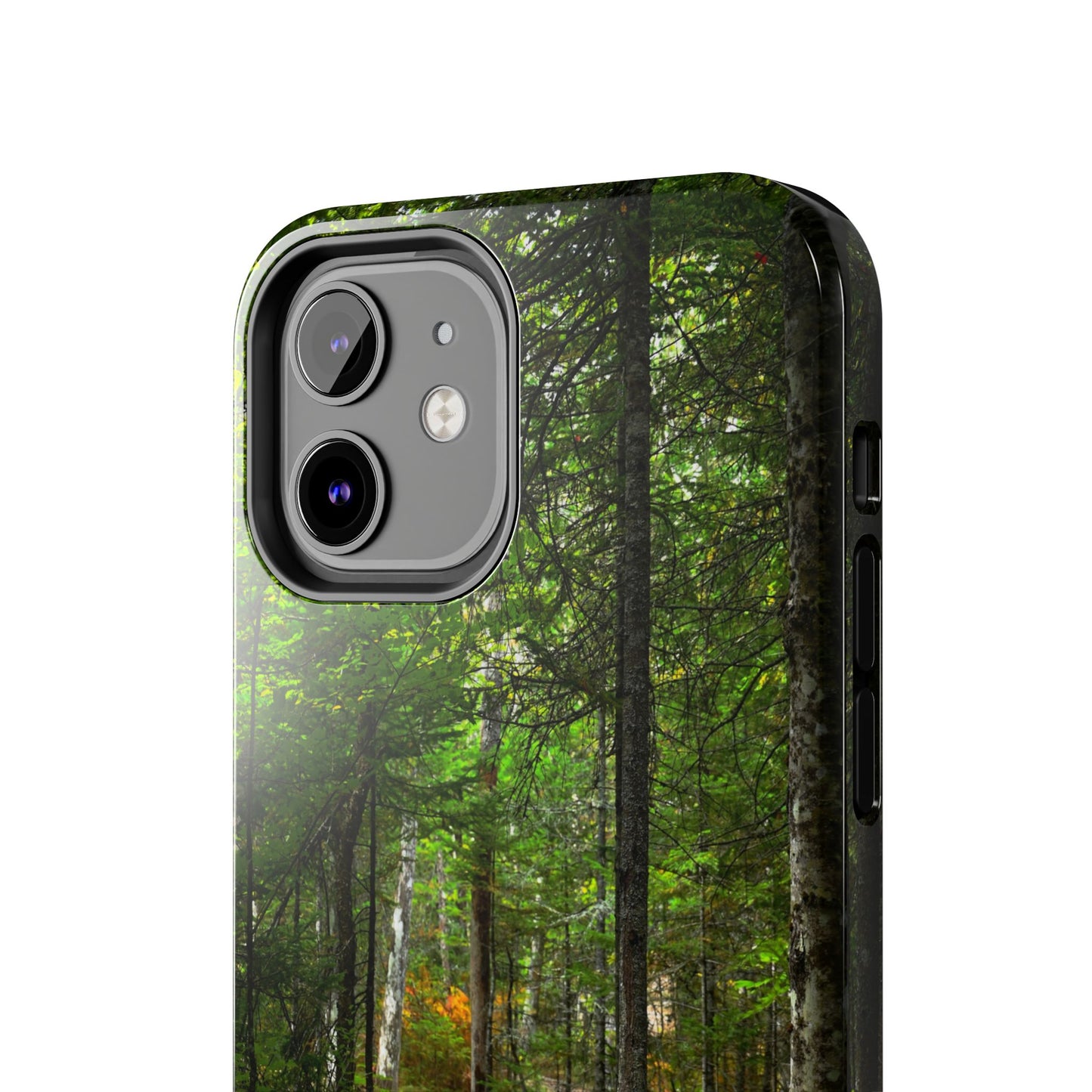 Impact Resistant Phone Case - Woodland Boardwalk
