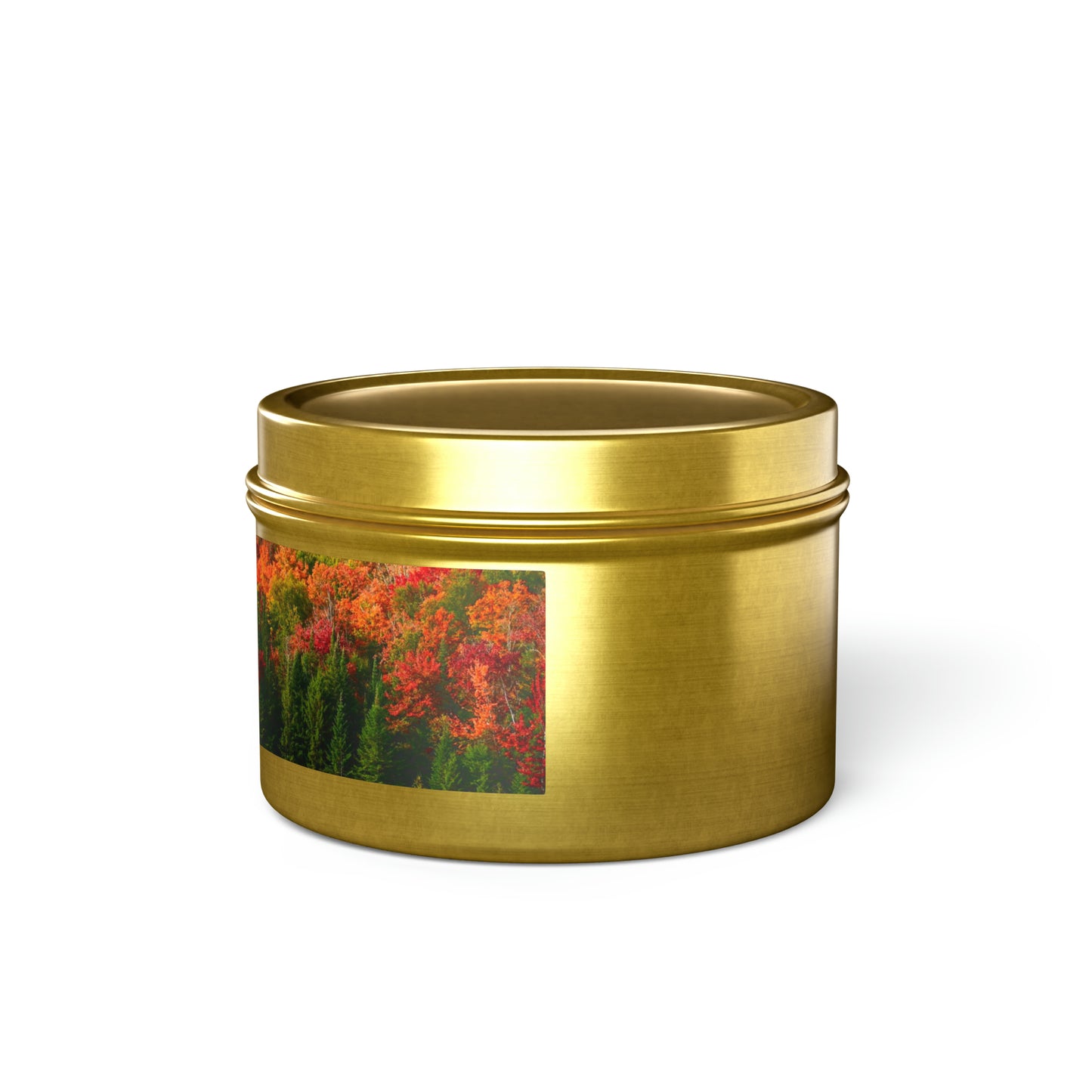 Adirondack Autumn - Tin Candle