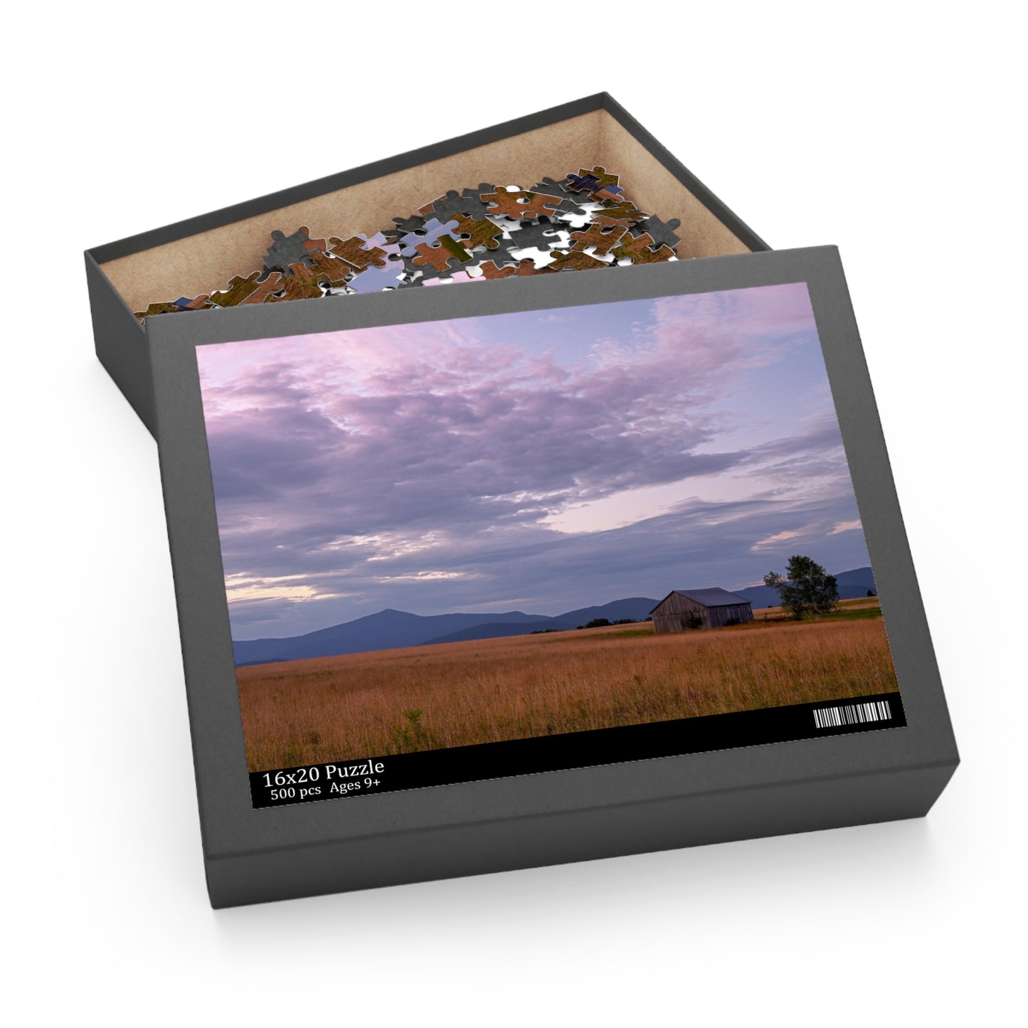 Puzzle - Norman Ridge