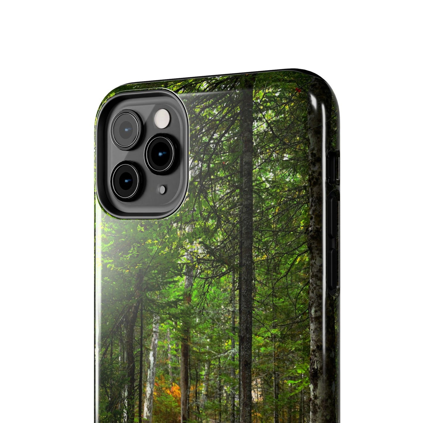 Impact Resistant Phone Case - Woodland Boardwalk