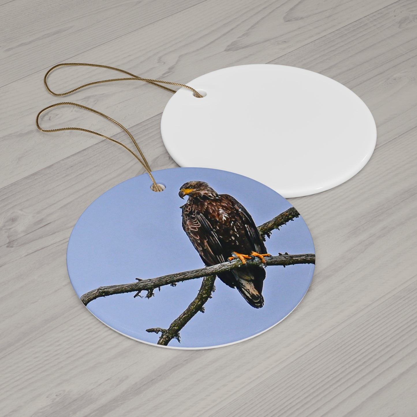 Juvenile Bald Eagle - Ceramic Ornament