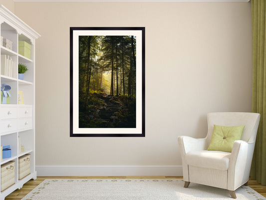 Adirondack Mountains Misty Trail Print
