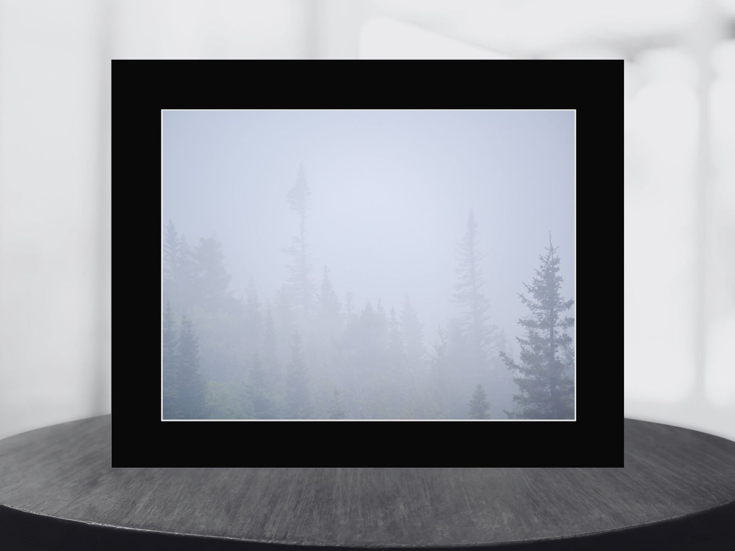 Foggy Woodland Adirondack mountains