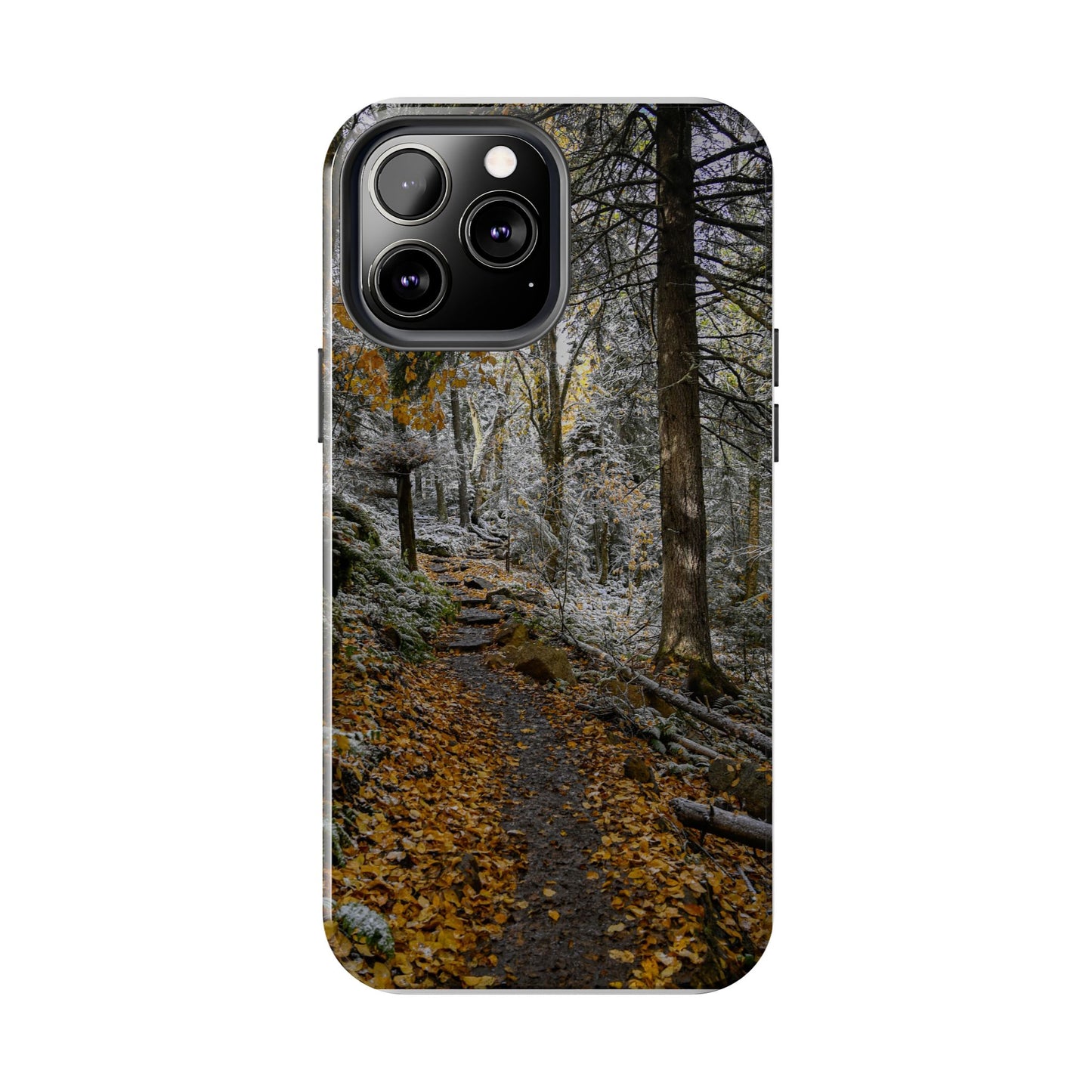Impact Resistant Phone Case - Seasons Changing