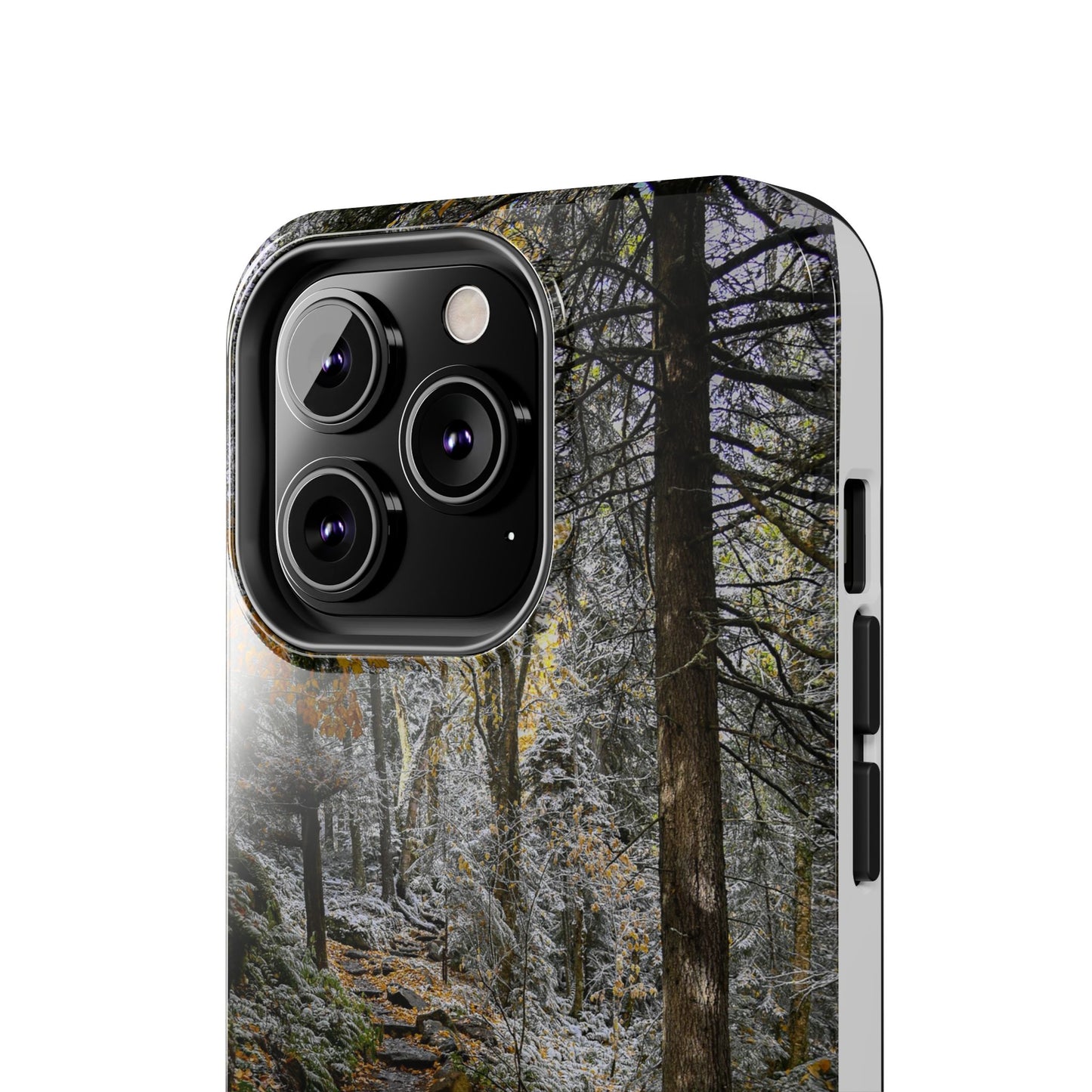 Impact Resistant Phone Case - Seasons Changing
