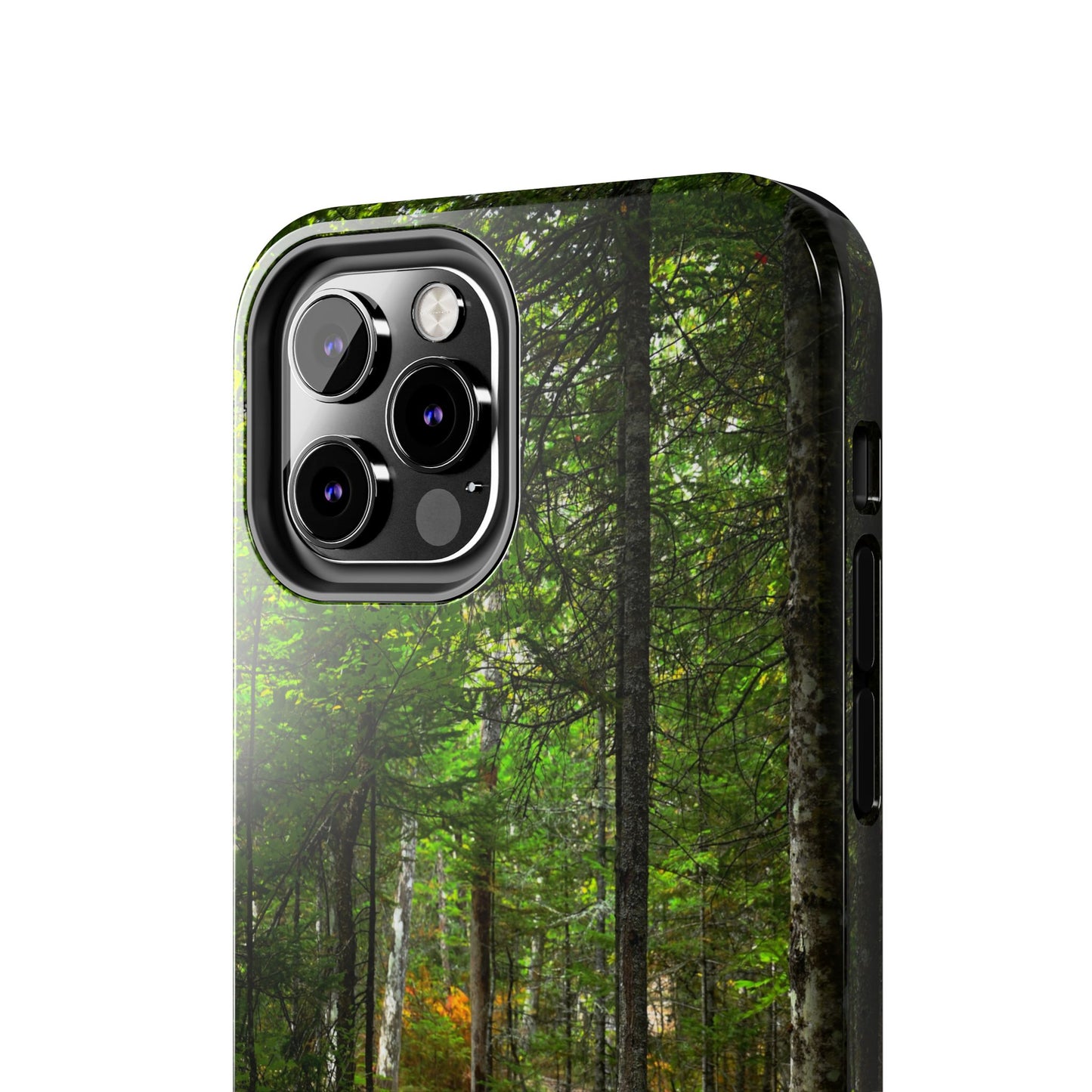 Impact Resistant Phone Case - Woodland Boardwalk