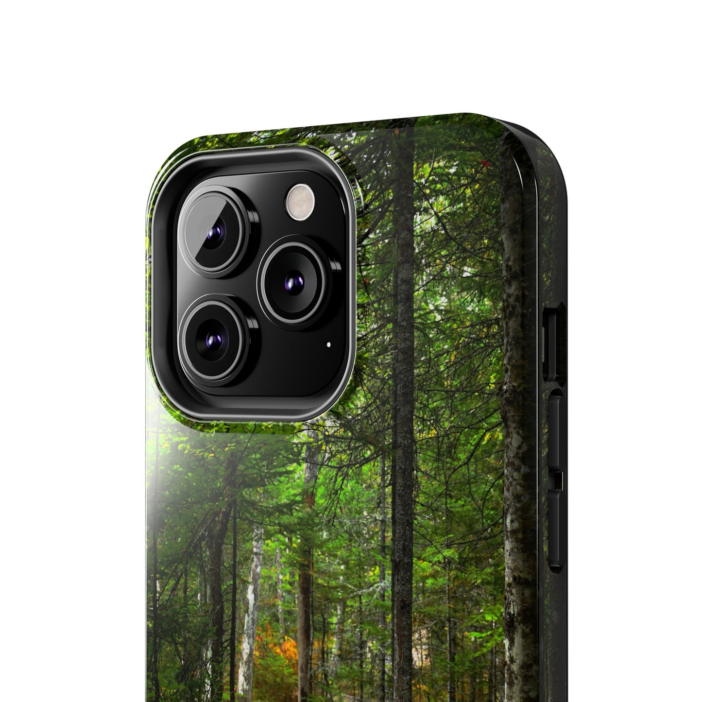 Impact Resistant Phone Case - Woodland Boardwalk