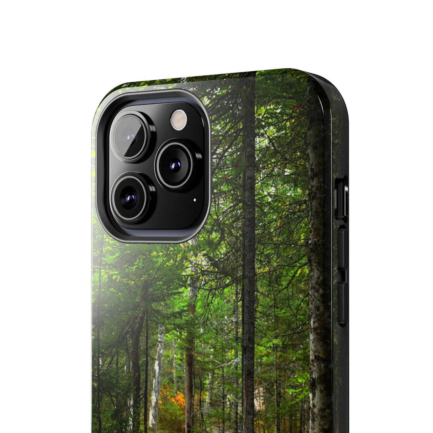 Impact Resistant Phone Case - Woodland Boardwalk