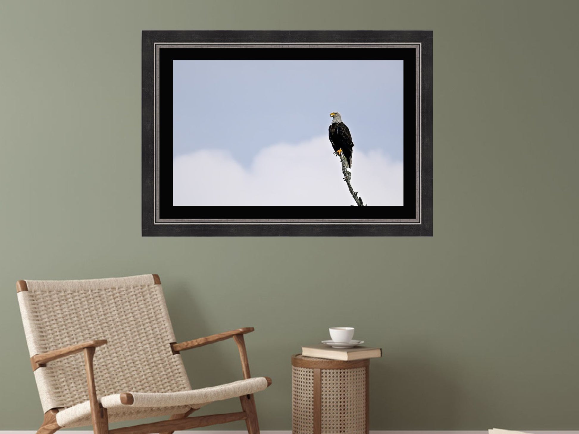 Bald Eagle in the Adirondack’s