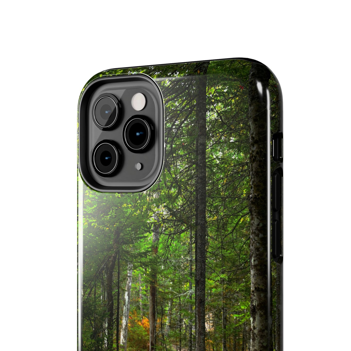 Impact Resistant Phone Case - Woodland Boardwalk