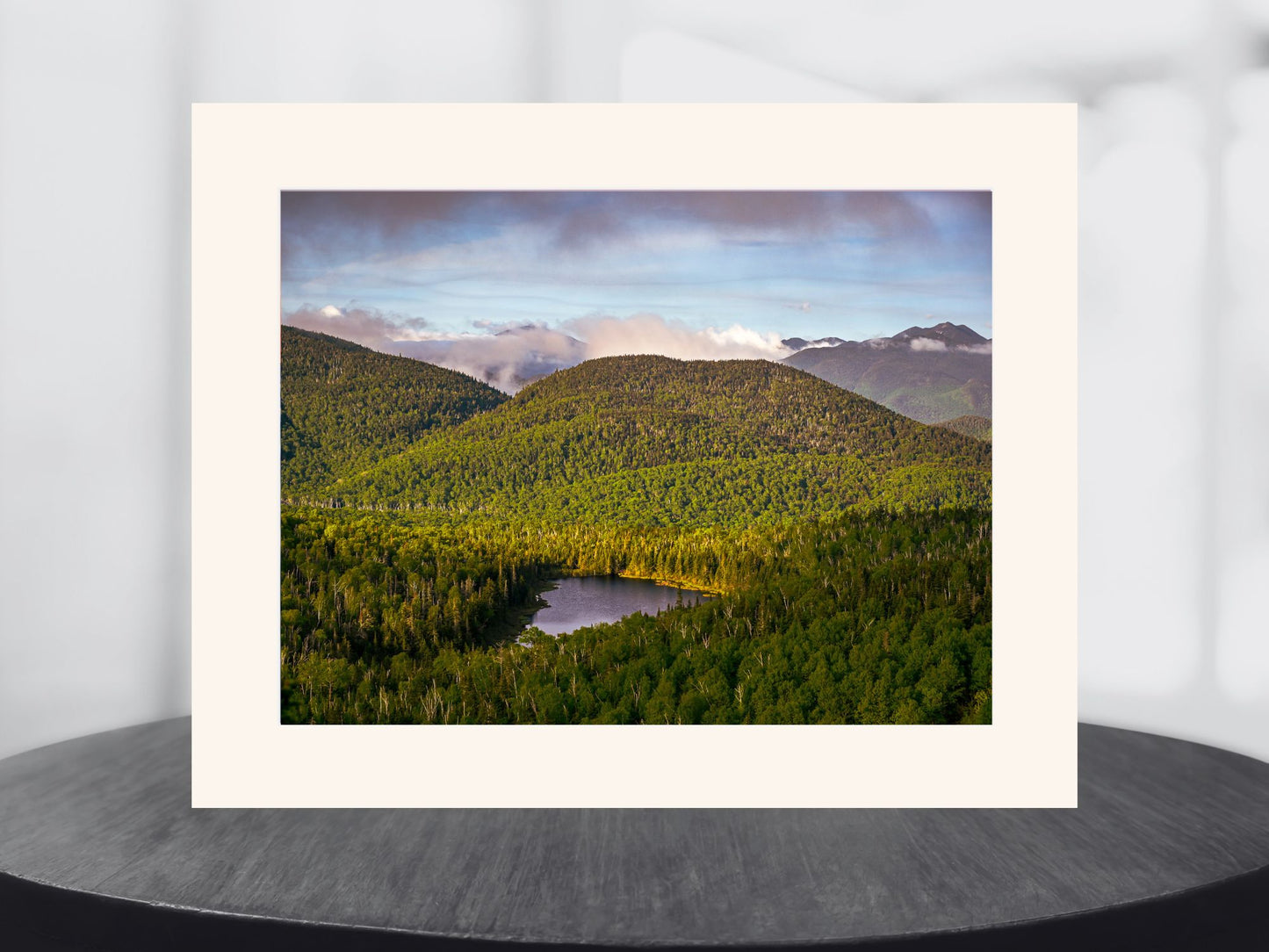 Lost Pond Adirondack mountains