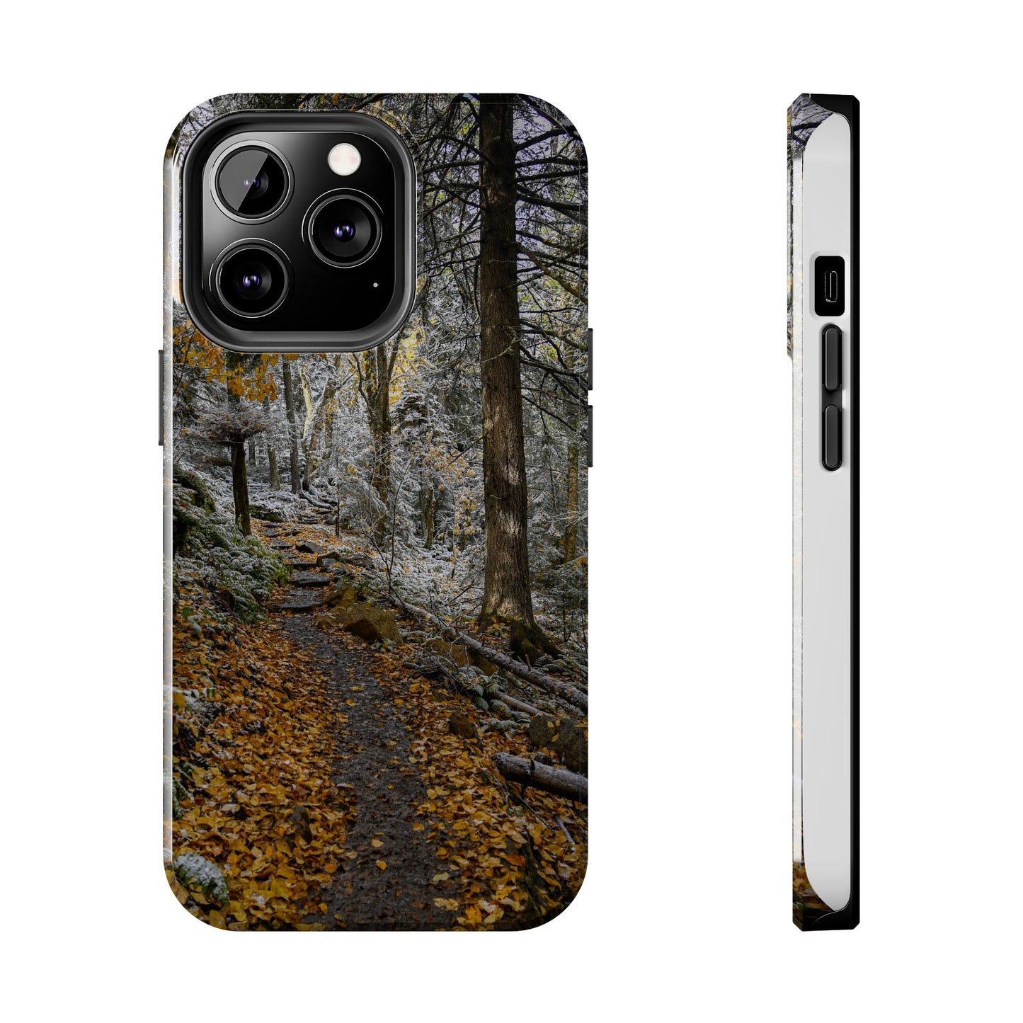 Impact Resistant Phone Case - Seasons Changing