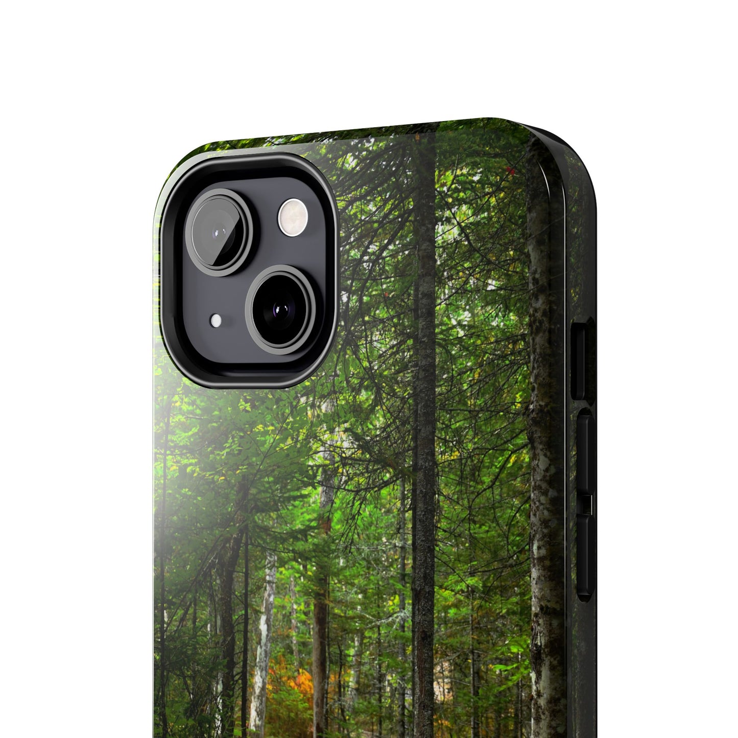 Impact Resistant Phone Case - Woodland Boardwalk