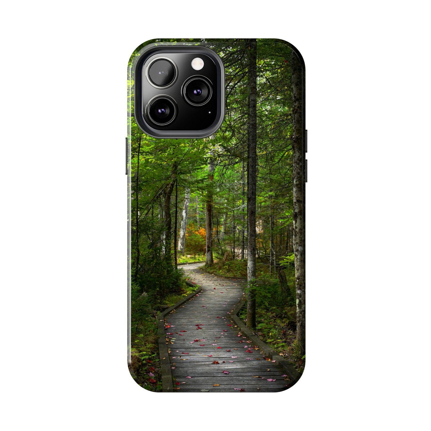 Impact Resistant Phone Case - Woodland Boardwalk