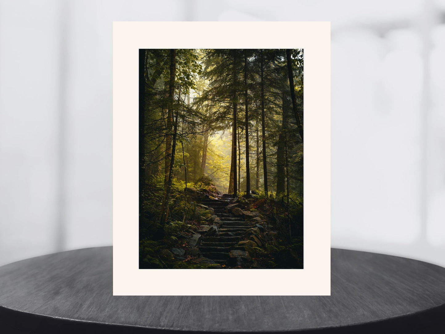 Adirondack Mountains Misty Trail Print