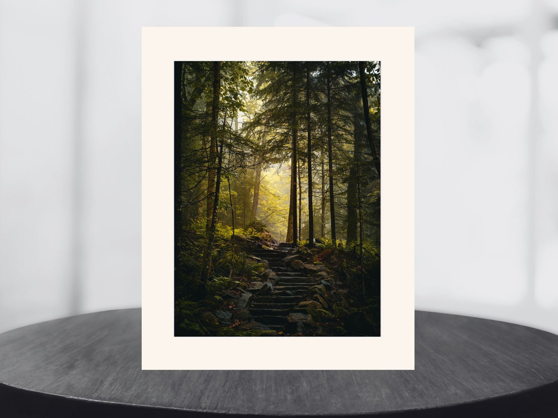 Adirondack Mountains Misty Trail Print
