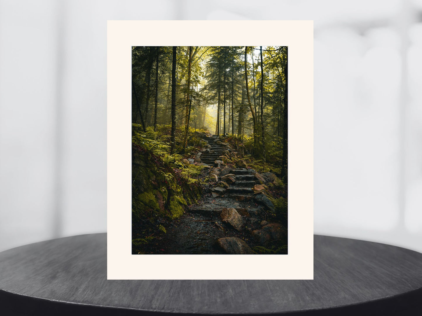 Wandering through the Haze in the Adirondack Mountains