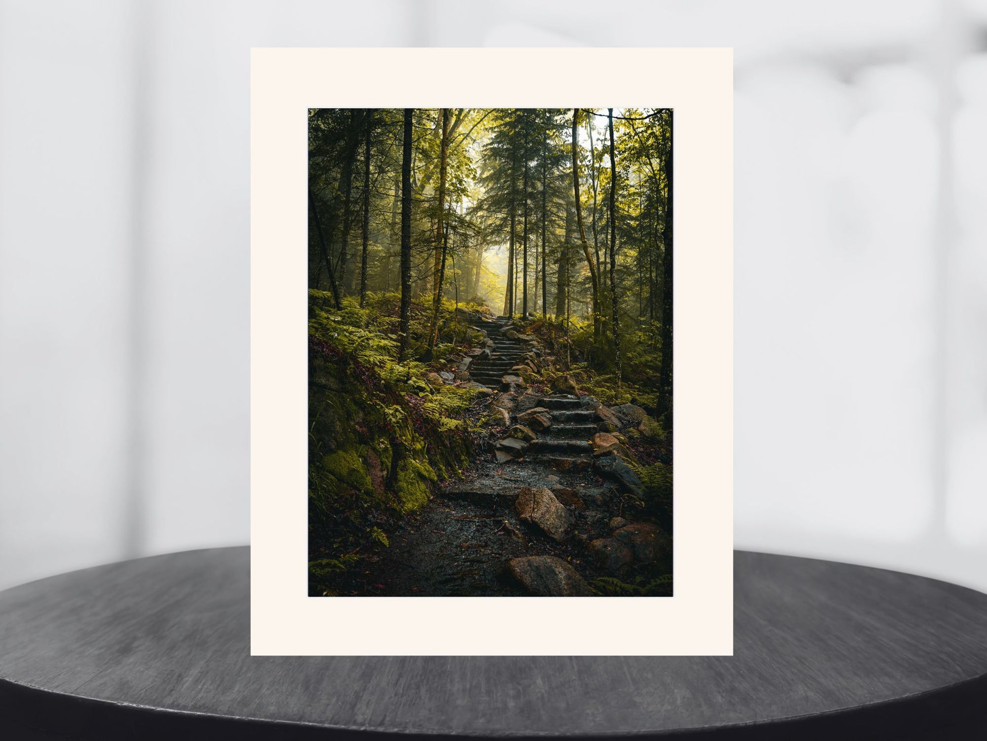 Wandering through the Haze in the Adirondack Mountains