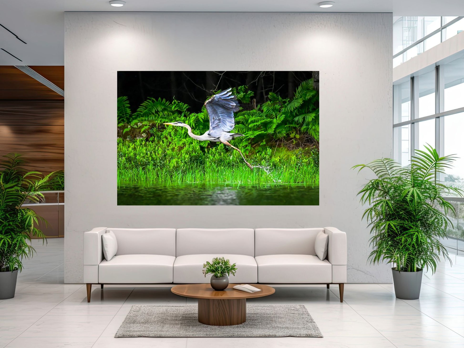 Great Blue Heron, Adirondack Mountain