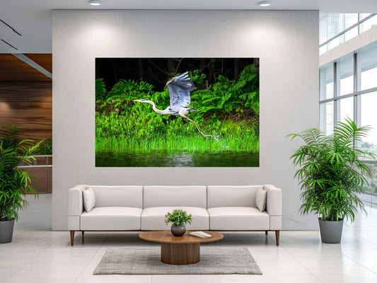 Great Blue Heron, Adirondack Mountain