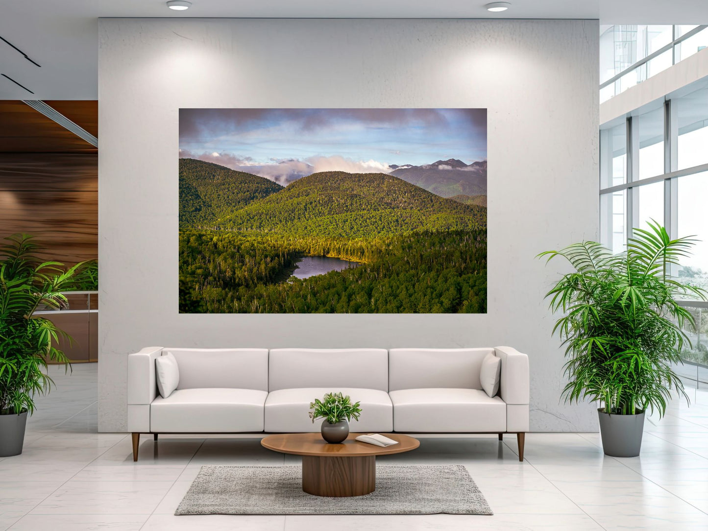 Lost Pond Adirondack mountains