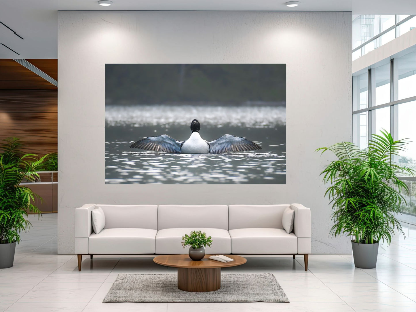 Common Loon wingspread