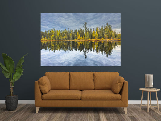 Wilderness Tamarack Reflections Adirondack print