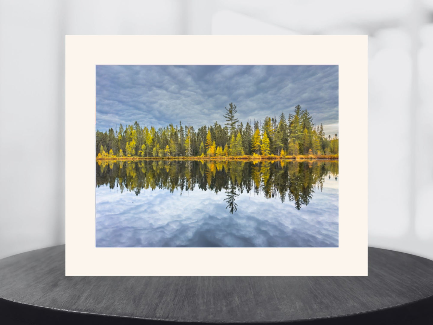 Wilderness Tamarack Reflections Adirondack print
