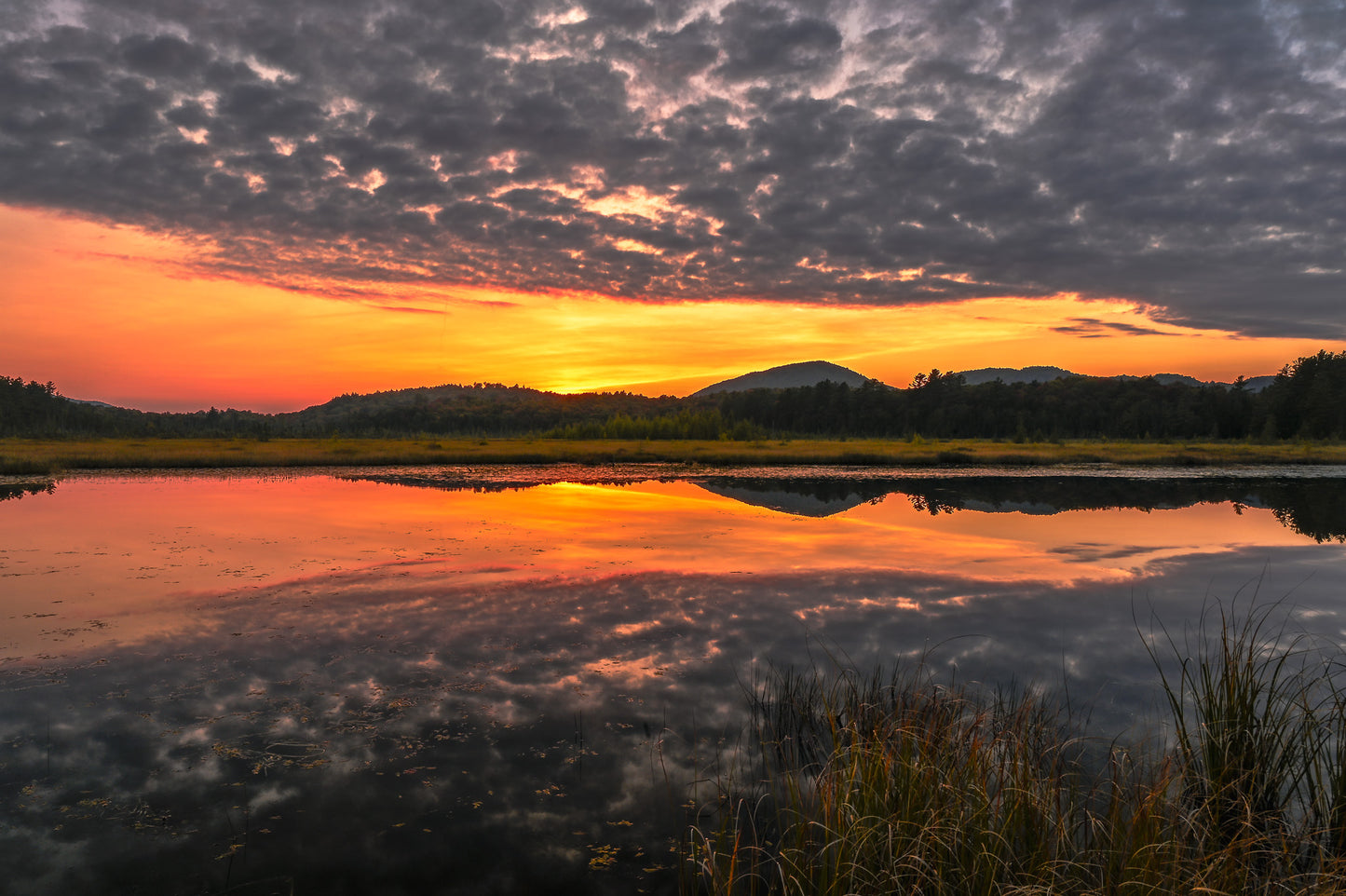 A Golden Sunset at Barnum Pond, Adirondack Mountains 