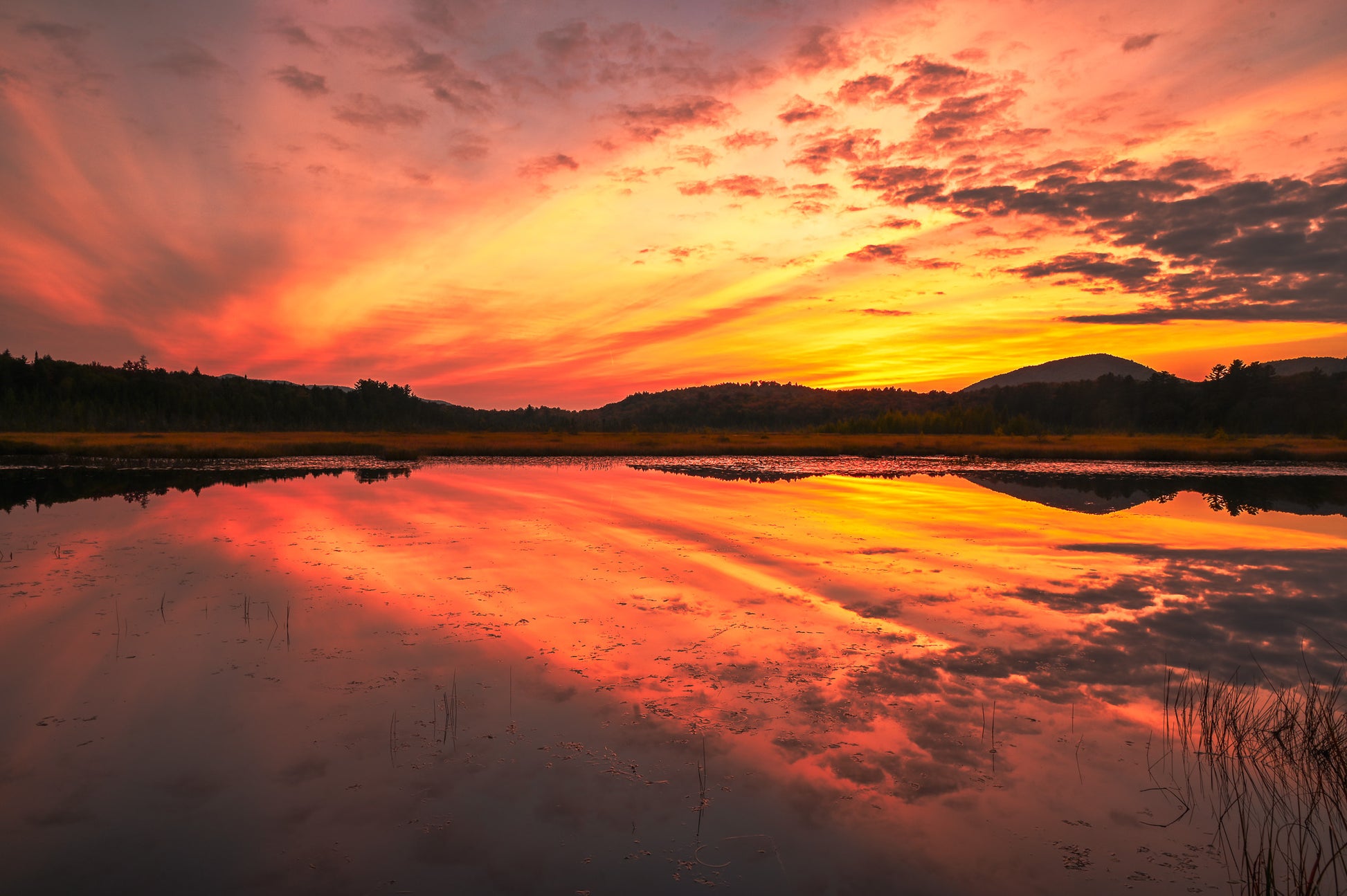 Evening Glow at Barnum Pond