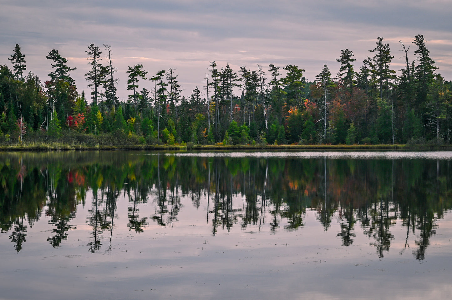 Tamarack Reflections Adirondack mountains