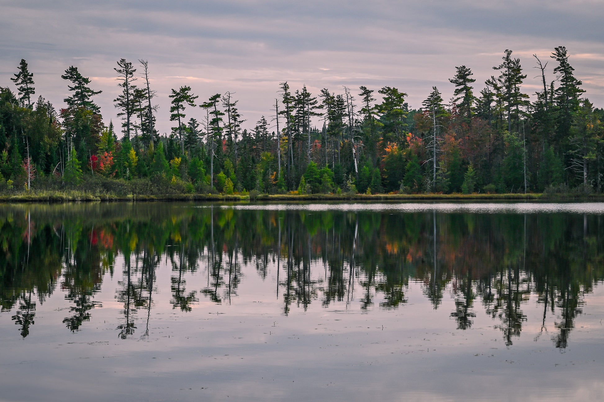 Tamarack Reflections Adirondack mountains