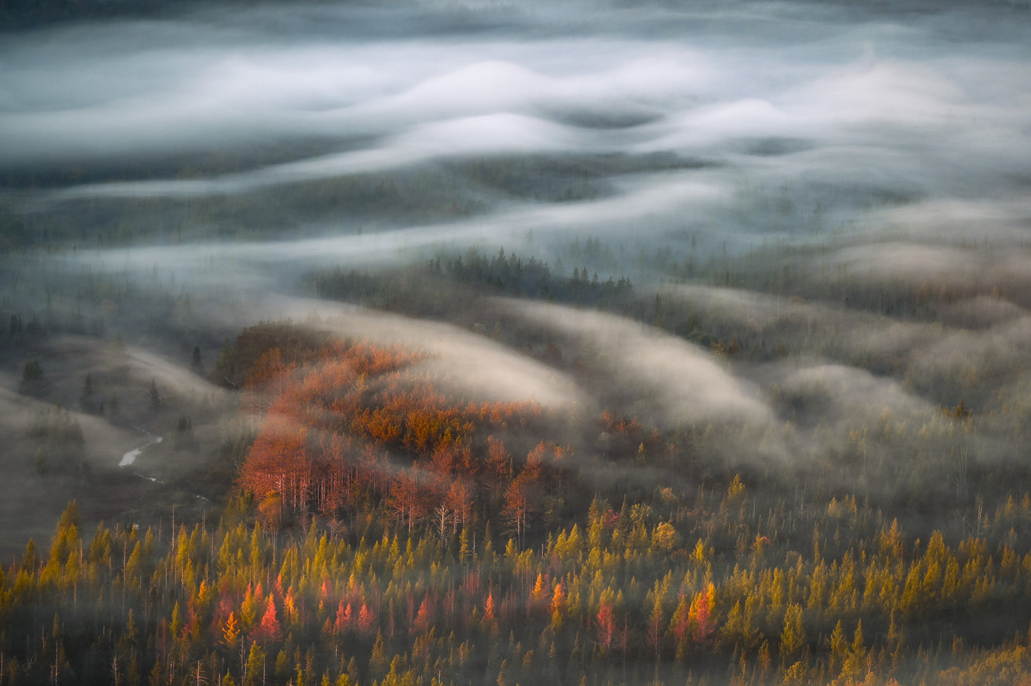 Waves of Fog and Autumn Flames in the Adirondak Mountains
