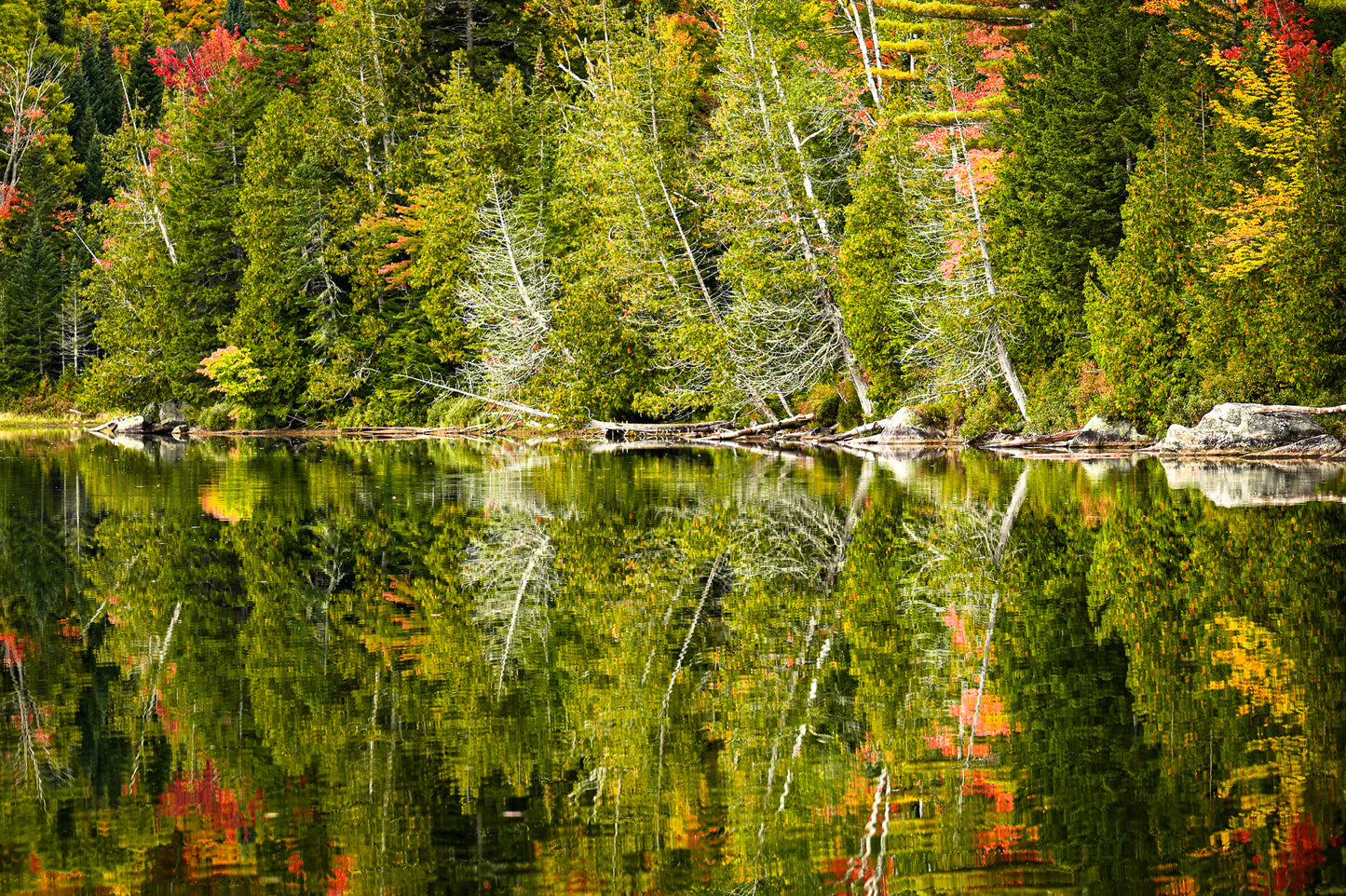 Reflections of September Adirondack print