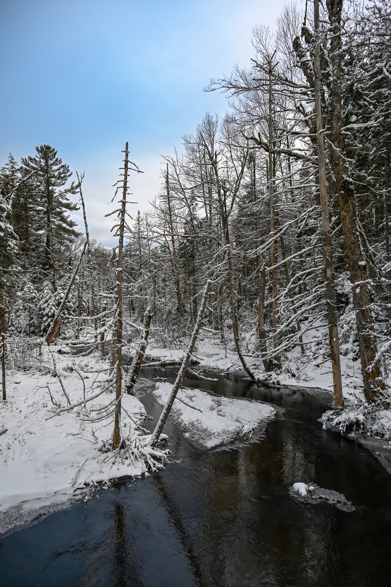 adirondack brook