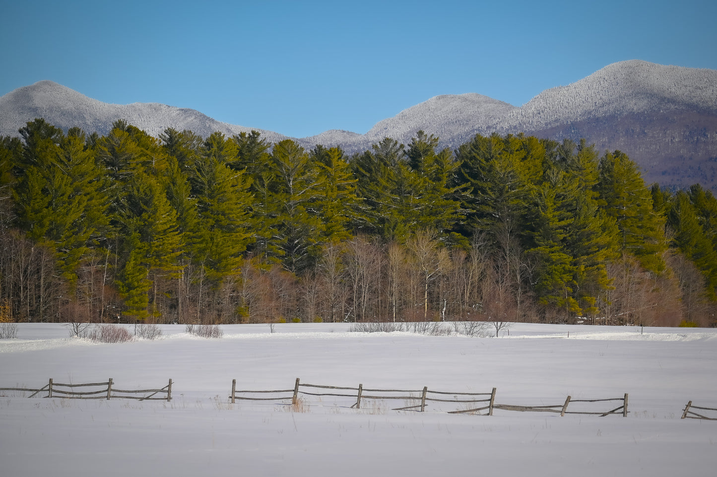 Frosty Mountain Meadow