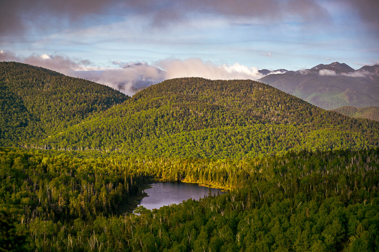 Lost Pond Adirondack mountains