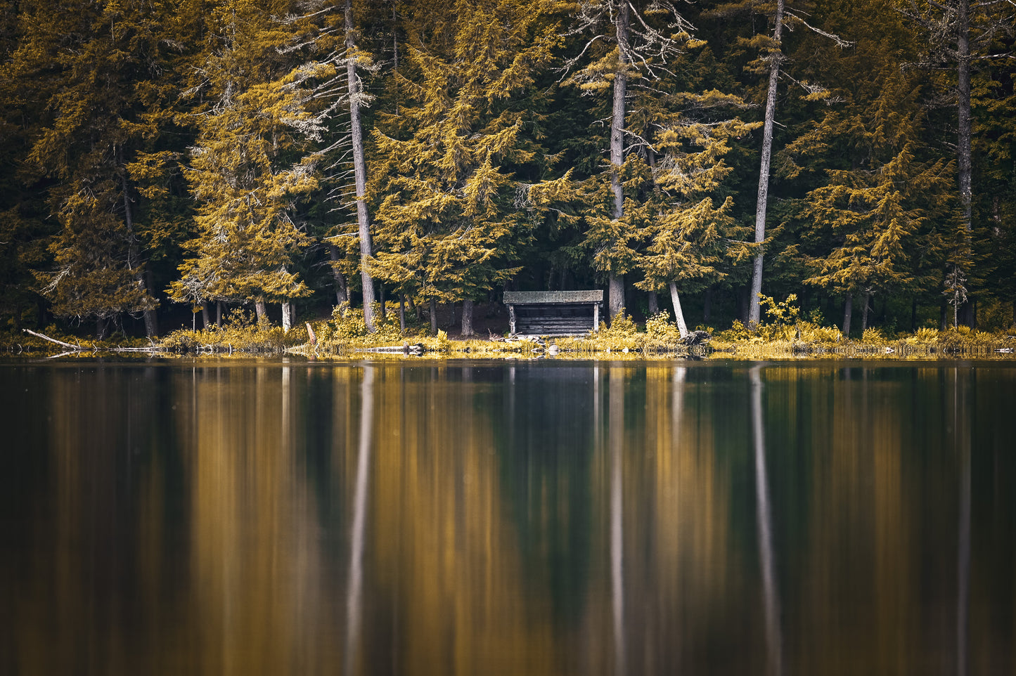 Lean-to Reflections