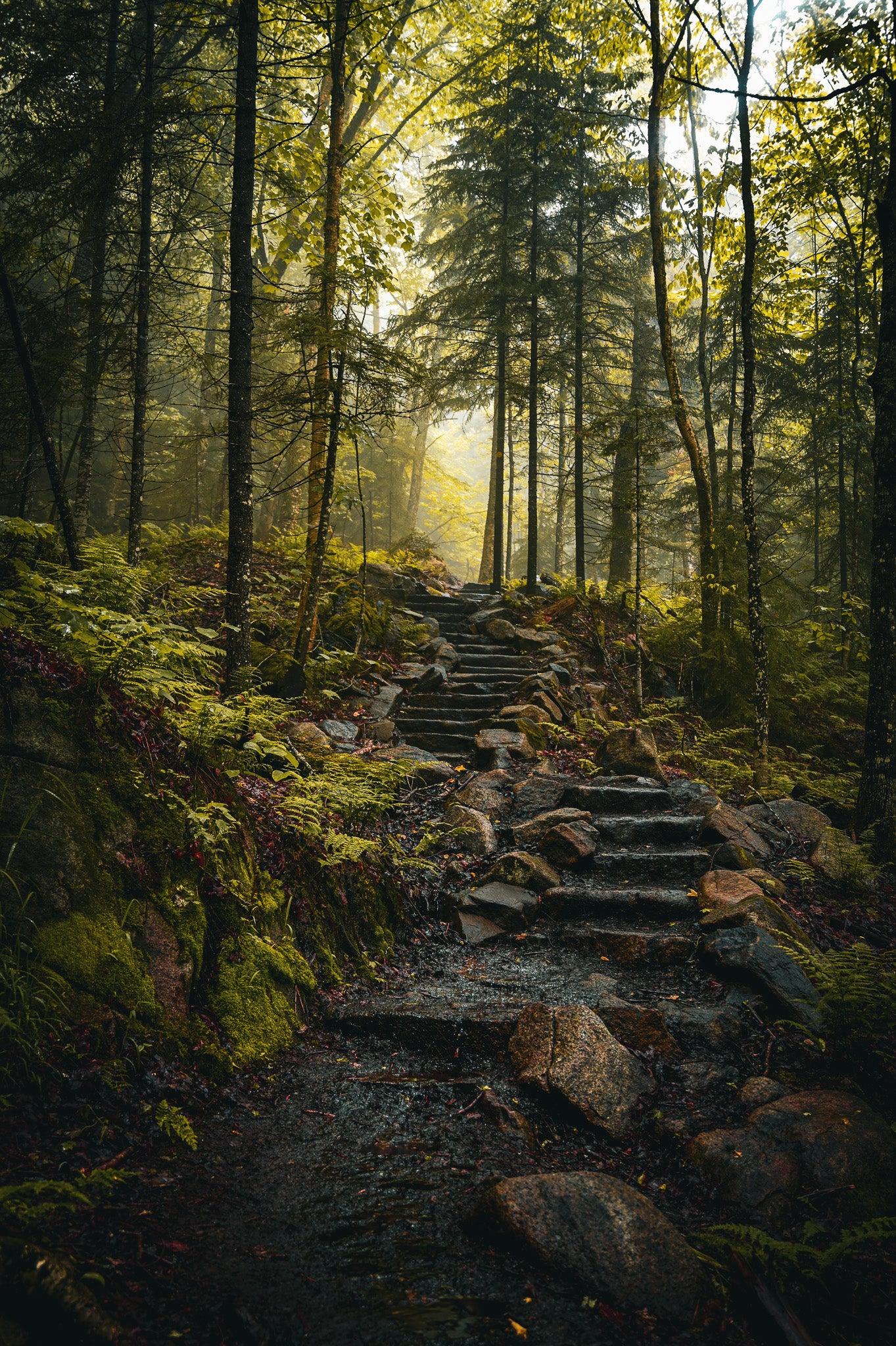 Wandering through the Haze in the Adirondack Mountains