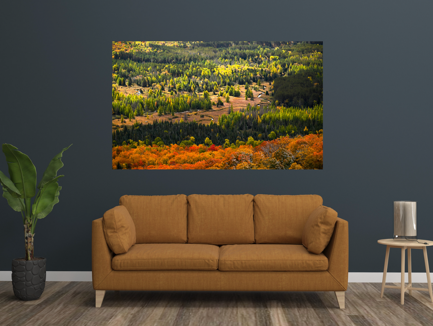 Autumn Meadow Meander