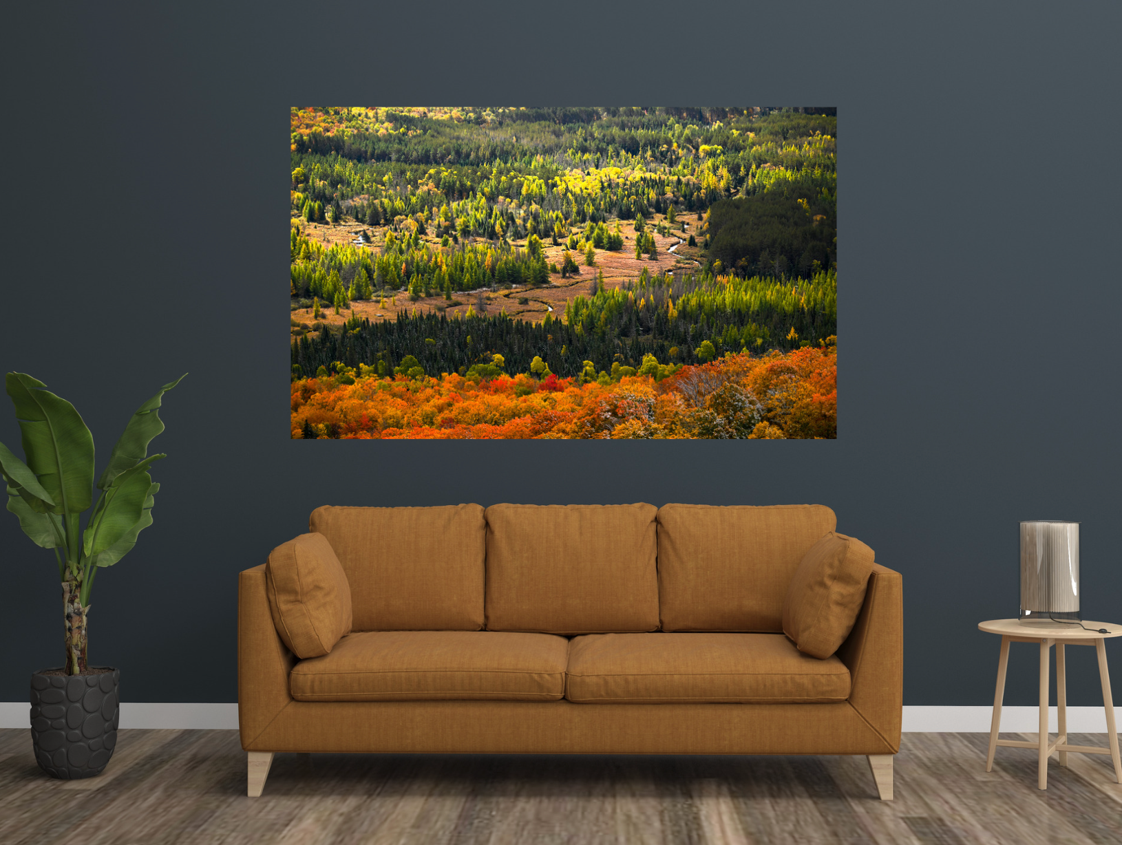 Autumn Meadow Meander