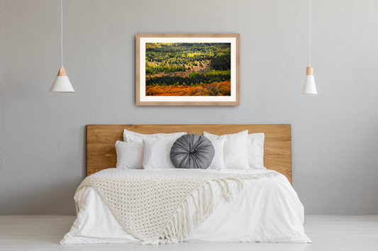 Autumn Meadow Meander