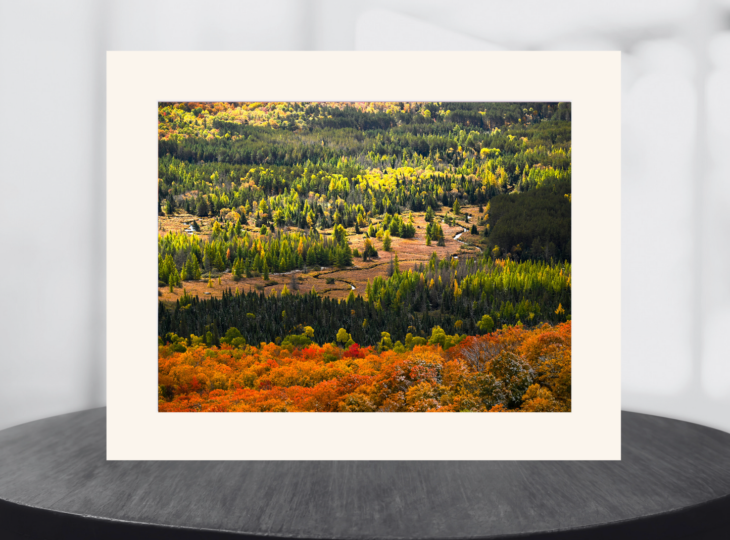 Autumn Meadow Meander