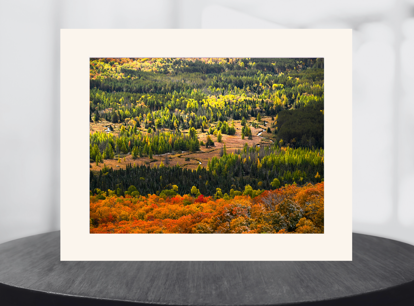 Autumn Meadow Meander