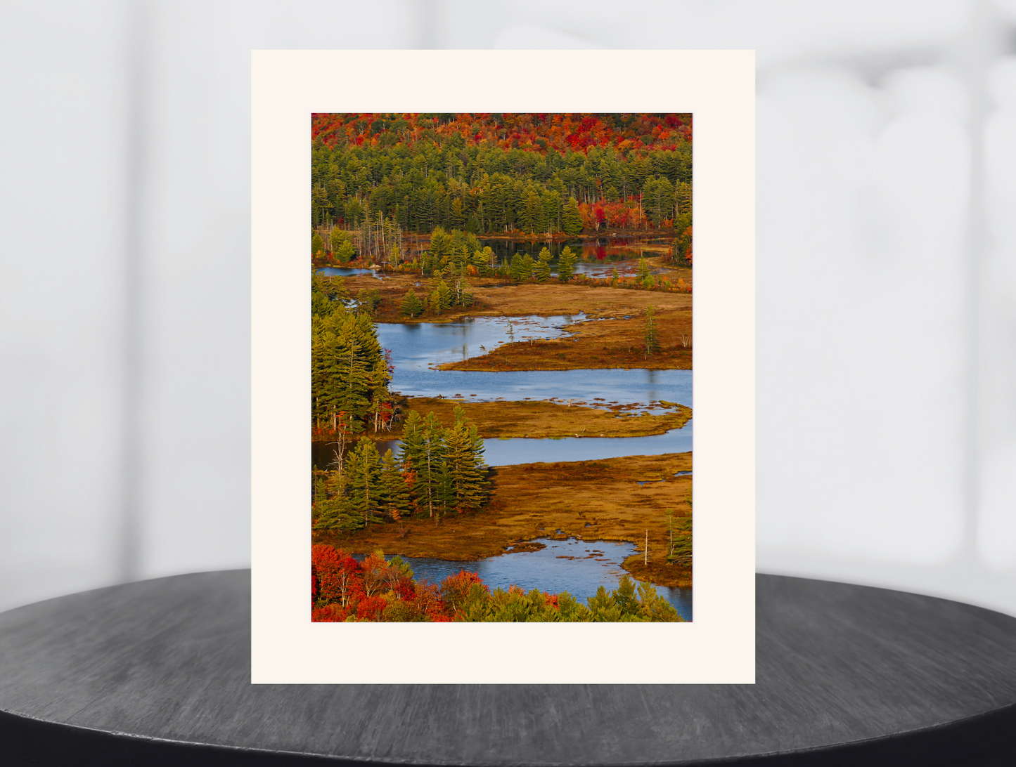 Autumn Over the Bog River
